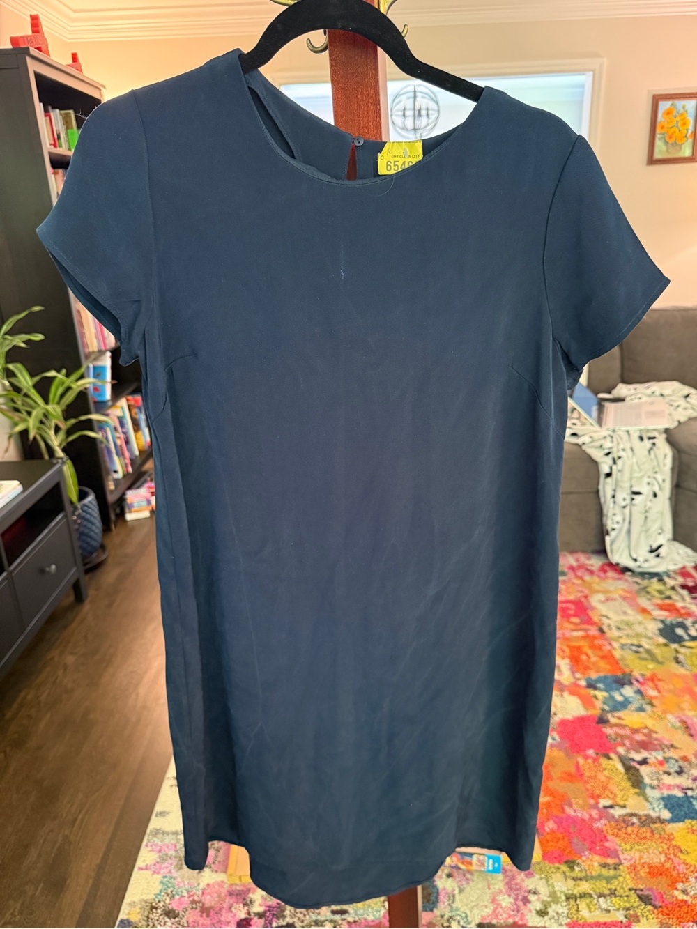 Cuyana silk dress